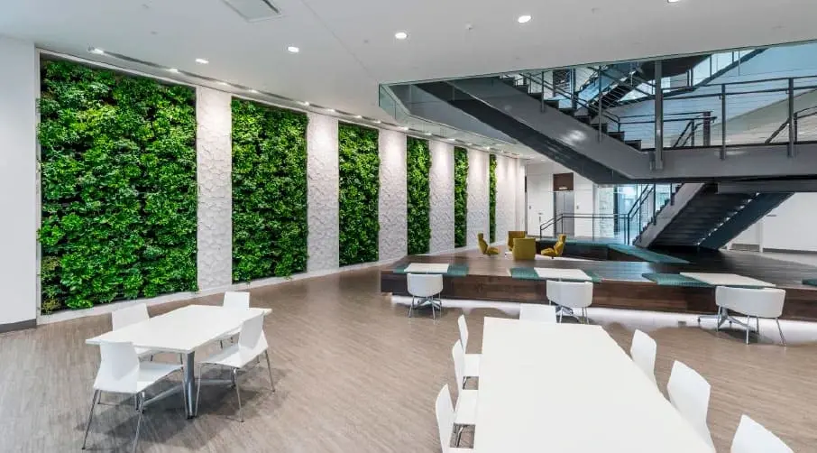 Стійкі зелені рішення: вертикальне озеленення офісів та коворкінгів.